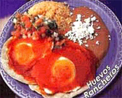 Taqueria Real in Novato, CA at Restaurant.com