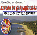 Rincon de Guayabitos #3 Logo